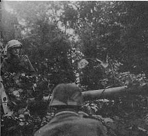 SP gun from 8th Heavy Ko.(Lt. Hans Höller)