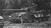 panther111