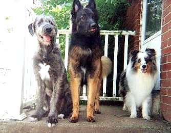 Kiera, Daren, and Ally